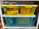 茶花（CHAHUA）茶花加厚收纳箱多容量透明整理箱衣服收纳盒玩具储物箱换季整理 2个装【7.5L小号】33.5*24.15.5cm 秋杏黄 实拍图