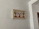 瑞尚（RUISHANG） 遮挡电表箱装饰画配电箱可推拉壁画客厅挂画有框电源箱开关盒 石来运转C 60*40可覆盖（横50竖30）晶瓷面 实拍图