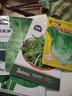 北蔬 莴笋种子种苗四季尖叶耐热耐寒蔬菜种籽 北蔬绿莴笋种子10g 实拍图