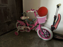 凤凰（Phoenix）儿童自行车3-5-8-10-15岁宝宝单车公主钻石浪漫粉色带辅助轮礼物 【凤凰粉系】梦幻浪漫粉 14寸（适合身高95-120cm） 实拍图