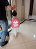 瓦拉包dabbawallabags美国瓦拉包 幼儿园男女宝宝书包3-8岁儿童双肩包轻 草莓 实拍图