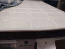 雅兰床垫 椰棕榻榻米床垫 偏硬舒脊学生宿舍棕榈床垫 可定制尺寸硬核 8CM（含椰棕） 1.2*1.9m 实拍图