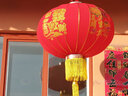 祥福缘灯笼新年装饰品大红灯笼灯植绒布婚庆节庆大门led灯春节年货节 1对装+花开富贵120#+灯+ 66cm 实拍图