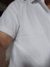 超媛男士夏季衬衫短袖白衬衫免烫皱商务休闲纯色衬衣男白色衬衫伴郎 白色短袖 4XL【173-185斤】 晒单实拍图