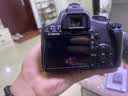 佳能（Canon）EOS 600D 700D 850D 800D 760D 750D 550D 500D学生入门级二手数码单反相机人像小痰盂镜头日常家用高清旅游 500D+18-55防抖【套机】 95 实拍图