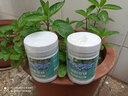 漫生活硫酸亚铁350g*2植物花卉肥料发财树多肉绣球茶花杜鹃茉莉花肥通用 实拍图