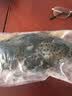 蝶岛船说 东山岛冷冻石斑鱼 深海龙胆石斑鱼 海捕珍珠斑 海鲜水产 【石斑鱼两条】每条500-600g 实拍图