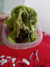 盛京天禄网红毛巾卷蛋糕盒装芋泥草莓抹茶味奶油甜点蛋糕生鲜休闲零食品 毛巾卷混合2盒【可备注口味】 实拍图