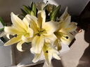 悦多彩AB级优质香水百合 家庭办公室各色生活鲜花 昆明基地 现采直发 百合组合40朵（白色/黄色各20朵） 实拍图