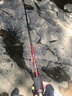 魚獵人 征途泛用路亚竿碳素轻量化新手打黑巨物翘嘴马口远投淡水海水 1.83m /直柄/一体式手把/UL/征途 实拍图