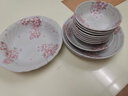 陶趣居日式盘子日本制造樱花餐具套装碗盘3D樱花雨面设计陶瓷套装间取樱 5.4英寸钵 实拍图