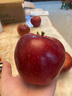 舅甜果蔬新西兰红玫瑰苹果（顺丰速运 现货现发）苹果新鲜水果脆甜 10个大果 （单果170-200g） 实拍图