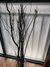 欧芽干枝雪柳泡水开花水培花卉室内花卉植物客厅卧室花卉干花 鲜枝龙柳1米高10支 实拍图