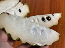 采缇（CAITI）现货大目凤梨释迦果5斤 新鲜番荔枝佛头果水果孕妇整箱 一个装（单果250g左右中通快递） 实拍图