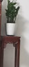 瑞呈堂 花架实木 阳台客厅简约中式老榆木花架多层室内绿萝吊兰多肉花架 木红色30x80cm 实拍图