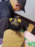 艾梵妮（Eyefanniy） 儿童发夹发圈小女孩发饰宝宝扎头发橡皮筋 女童向日葵花朵发绳 向日葵夹子棕色【1个】 实拍图