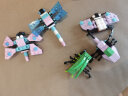 开益(CAYI)小颗粒积木拼搭动物世界儿童玩具送人男女孩节日礼物 苍蝇+蟋蟀62颗粒 实拍图