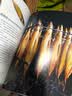 有生之年非吃不可的1001种食物 实拍图