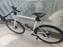 SUNPEED速比特 GALAXY 银河碟刹铝合金公路车入门级公路自行车 银河GALAXY白色 XL 180-187 实拍图