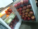 聚牛果园烟台红富士苹果5斤 简装 时令生鲜水果 富士单果85-90mm12粒礼盒装 新鲜苹果 实拍图