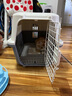 华元宠具（hoopet）猫狗航空箱宠物手提笼子宠物旅行箱车载猫包太空舱便携大号外出包 加固铁门日暮灰-20斤内含隔尿板 实拍图