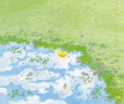 凯迪克金奖大师经典绘本系列：诺亚方舟+夏天的天空 精装 世界绘本大师彼得·史比尔关爱自然系列 用一支有魔力的画笔走进孩子的内心世界 3-6岁 实拍图
