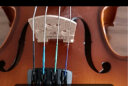 克莉丝蒂娜（Christina）手工实木小提琴初学入门考级进阶儿童成人大学生专业乐器v04 V02仿古色 4/4身高155cm以上 实拍图