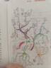 思维导图完整手册 零基础快速掌握思维导图 中信出版社 实拍图