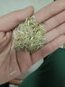 萌蕴（MengYun）进口草坪种子草籽四季常青免修剪护坡草种别墅耐庭院护坡耐寒耐旱 红三叶净籽一斤 实拍图