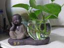 宇轩水培玻璃花瓶插花透明器皿养绿萝禅意摆件水养植物创意小花盆 静思花器+努力底 实拍图