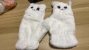 JIOESC猫猫手套秋冬季女款毛绒可爱半指翻盖手套秋季保暖学生百搭女士 猫猫手套-白色 翻盖款 实拍图