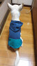 DADAGOU巴哥斗牛犬中型犬秋冬装狗狗卫衣幼犬泰迪宠物胖狗狗衣服厚款保暖 深蓝色拉链帽衫 XXL-胸围62CM背长38 实拍图