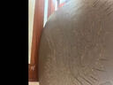茗泥堂（MINGNITANG） 宜兴原矿紫砂水缸储水罐带水龙头/抽水上水器陶瓷净水缸家用水缸 10升牡丹水缸 抽水款 实拍图