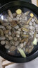鲜京采 鲜活白蛤400g/盒  海鲜贝壳活鲜 无水干包 实拍图