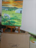 蒙玛特(Mont Marte)油画框6个装50*60cm 丙烯油画颜料学生画画工具棉麻油画布板套装 美术油画布框CHPS50606 实拍图