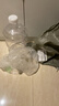 美厨（maxcook）纯净水桶 矿泉水桶饮水桶 5L桶装水塑料饮水机手提户外桶MCX7506 实拍图