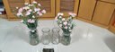 【四只】玻璃花瓶摆件北欧客厅水养富贵竹透明装饰大小干花插花瓶 18折纸枫叶南瓜24折透明四件套 实拍图