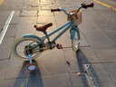 凤凰（Phoenix）儿童自行车3-6-10-13岁小男女孩学生脚踏车带辅助轮 向日葵系列 【爆】向日葵（带手工藤篮） 16寸【建议身高105-115cm】 实拍图