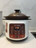 天际（TONZE）大容量电炖炖锅 快炖炖锅插电砂锅煮粥煲汤锅陶瓷全自动家用预约定时4-8人用50LD 5L 实拍图