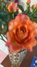 京东鲜花 云南单头玫瑰 橙色系【自由精灵】火灵鸟 5枝 实拍图