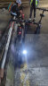 希洛普（SEALUP） 折叠电动滑板车 便携锂电池电动车 代驾代步两轮折叠电瓶车 48V黑/双驱1000W/双液压约150km 晒单实拍图
