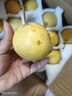 鲜姿辽宁南国梨南果梨香水梨醉梨酒香梨礼盒东北特产水果 4.5-4.8斤大果约24枚经典装 实拍图