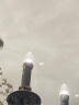 欧普（OPPLE）led节能灯泡家用吊灯灯泡蜡烛泡超亮单灯光源 5只装E14-金尖泡5W黄光 实拍图