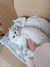 久生（Joyzone）无谷高肉全价猫粮奶糕幼猫成猫英短蓝猫布偶全阶段通用营养猫主粮 久生幼猫粮2kg 实拍图