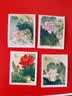 东吴收藏 集邮 1980年到1982年 T49到T72 特种 T字头邮票 3号 实拍图