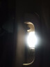 映红 汽车led阅读灯 室内灯泡冰蓝车顶灯车内灯后备箱灯尾箱灯牌照灯T10改装双尖12V泡 39MM白光-12V 实拍图