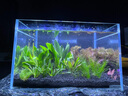 森森（SUNSUN） 鱼缸过滤器壁挂式外置过滤泵水族箱过滤器 HBL-303【不带除油膜】适合40以上鱼缸 实拍图