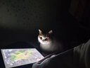 派得猫砂  原味豆腐猫砂活性炭混合猫砂多规格易可冲厕所 活性炭豆腐混合猫砂2kg*2袋 实拍图