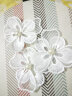 白色刺绣蕾丝花朵图案时尚布贴裙子衣服补洞装饰贴布补丁贴花小号 H款【一张】 晒单实拍图