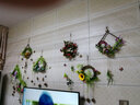 饰部落 田园风格仿真植物壁挂装饰墙壁挂饰幼儿园环创教室挂饰民宿餐厅创意仿真植物壁挂墙上挂件 组合套餐二 实拍图